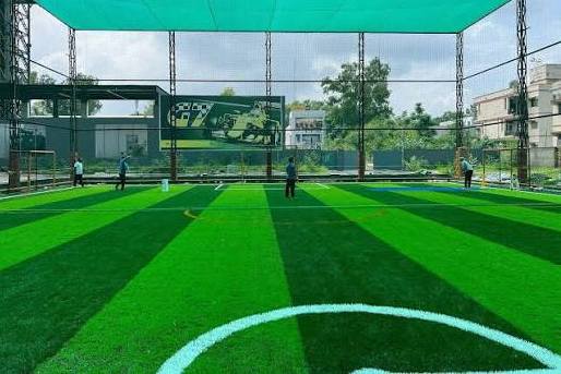 High-Performance Turf